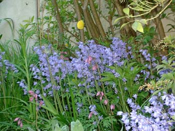 Spring House 016